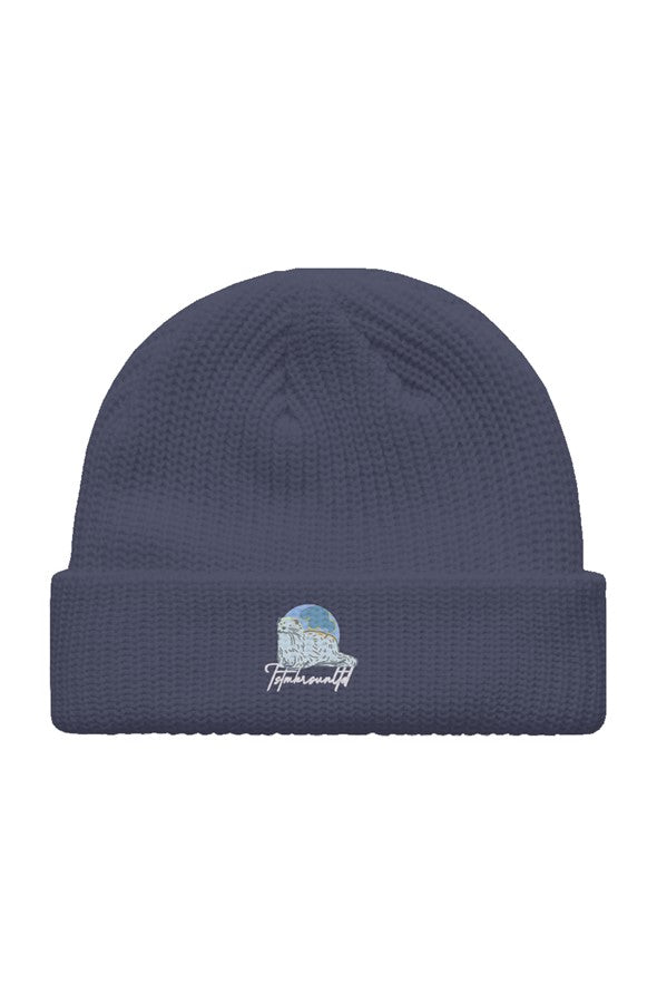 BO x stock Blue Jonze beanie